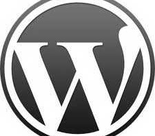 My Erstwhile Top WordPress Theme Picks