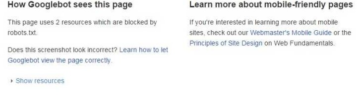 Is Your WordPress Site Ready for Google’s Mobile Algorithm?