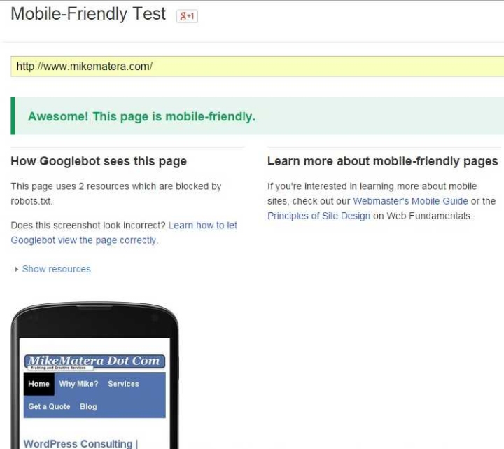 Google Mobile Readiness Tester